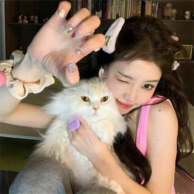 精灵宝可梦:洛奇亚爆诞