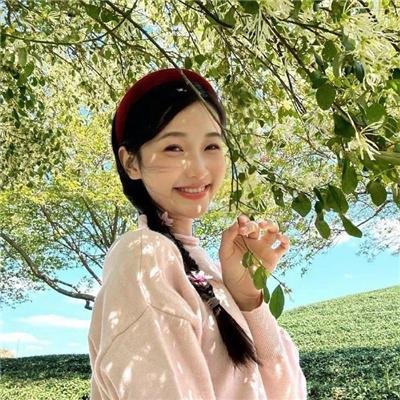 麋鹿王